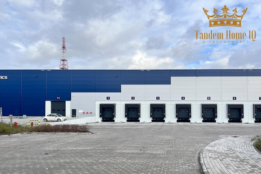 Warszawa, Targ&oacute;wek, Hala magazynowa klasy A 1636m2 - Targ&oacute;wek droga S8 - na wynajem