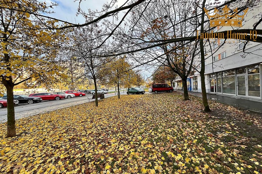 Warszawa, Mokot&oacute;w, Do wynajęcia lokal usługowy 102m2 na parterze do remontu - Mokot&oacute;w